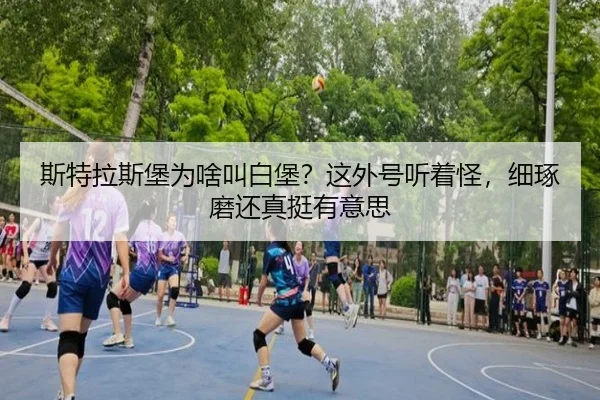 si-te-la-si-bao-wei-sha-jiao-bai-bao-zhe-wai-hao-ting-zhe-guai-xi-zhuo-mo-hai-zhen-ting-you-yi-si-2-493.jpg