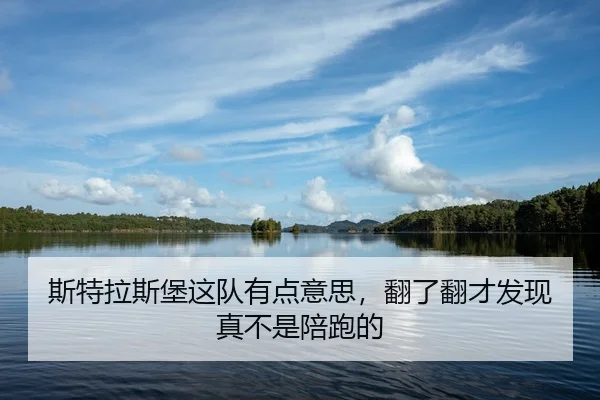 斯特拉斯堡这队有点意思，翻了翻才发现真不是陪跑的