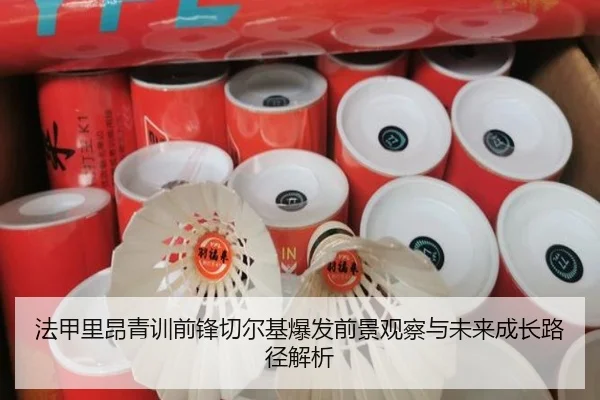 法甲里昂青训前锋切尔基爆发前景观察与未来成长路径解析