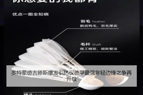 多特蒙德吉滕斯爆发引热议德甲最强年轻边锋之争再升级