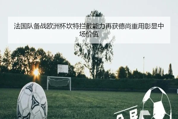 法国队备战欧洲杯坎特拦截能力再获德尚重用彰显中场价值