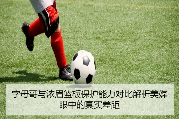 字母哥与浓眉篮板保护能力对比解析美媒眼中的真实差距